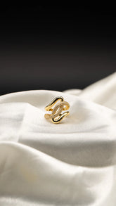 Wavelet Statement Ring
